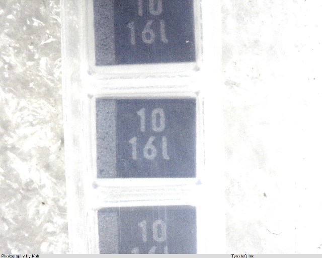 TEESVB31C106M8R