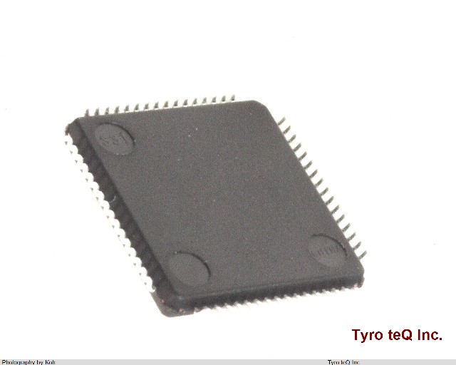R5F100LEAFB#30