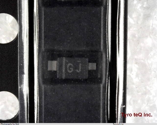 DZ2J06800L