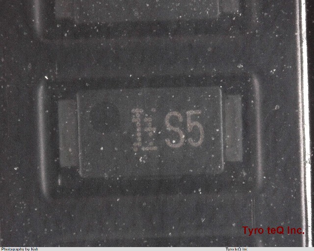 CMS05(T2L,TEM,Q)