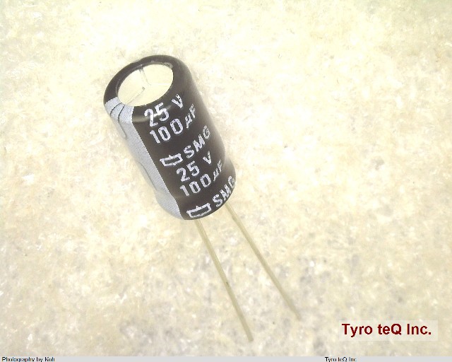 ESMG250ELL101MF11D