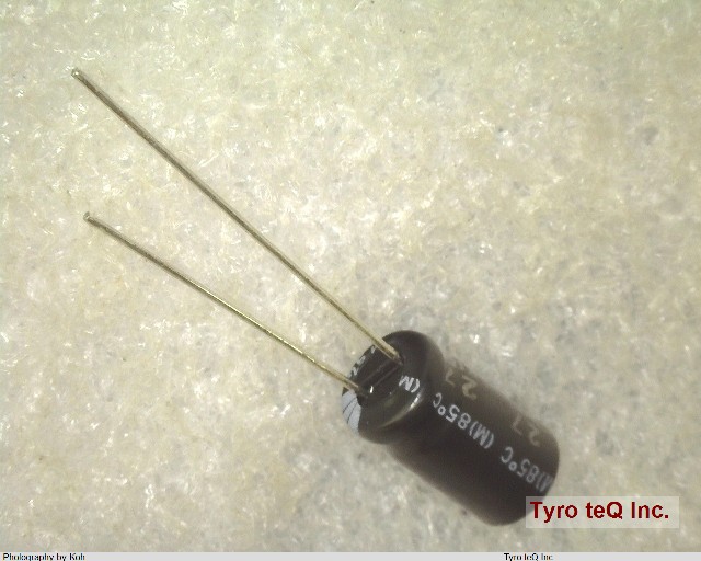 ESMG250ELL101MF11D