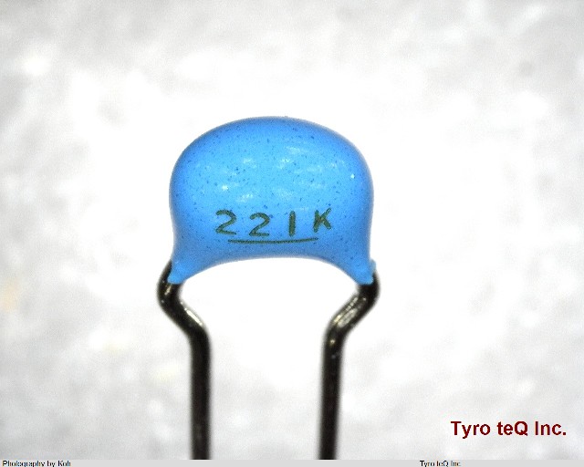 RPER11H221K2P1A01B