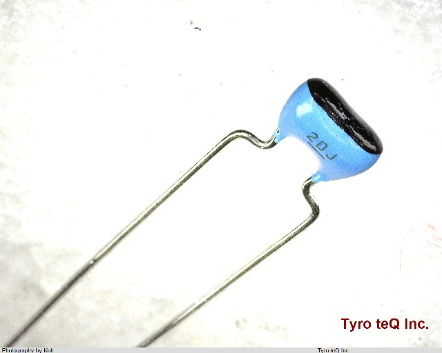 RPE2C1H200J2K1Y01B