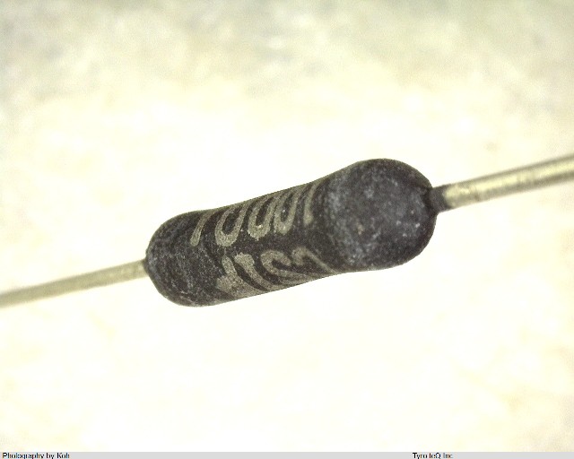 CS1P100OHMJ
