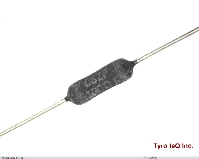 CS2P100OHMJ