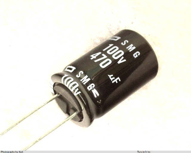 ESMG101ELL471ML25S