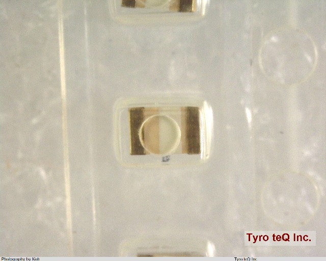TLGU1002A(T02)