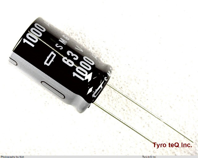 ESMG630ELL102ML25S