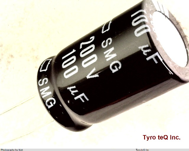 ESMG201ELL101ML25S