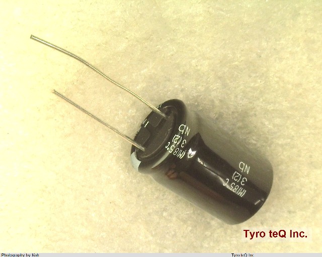 ESMG451ELL220ML25S