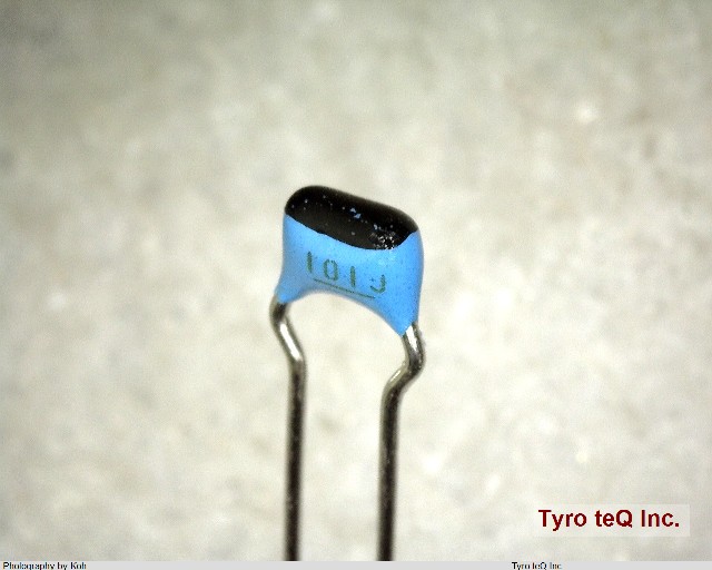 RPE2C1H101J2P1A01B