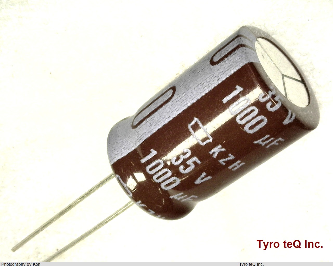 EKZH350ELL102MK20S