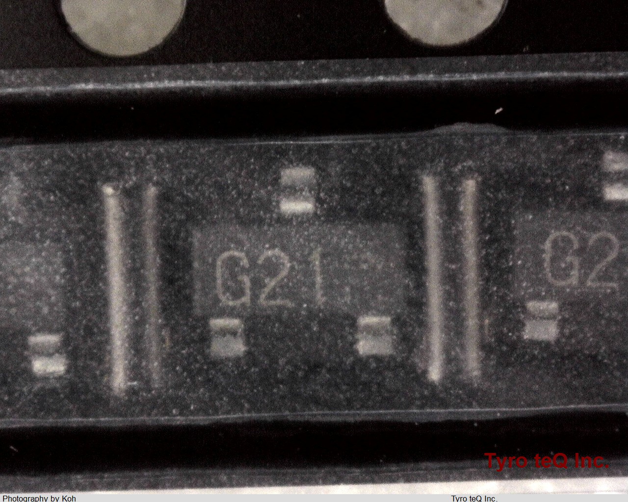DTD113ZCT116