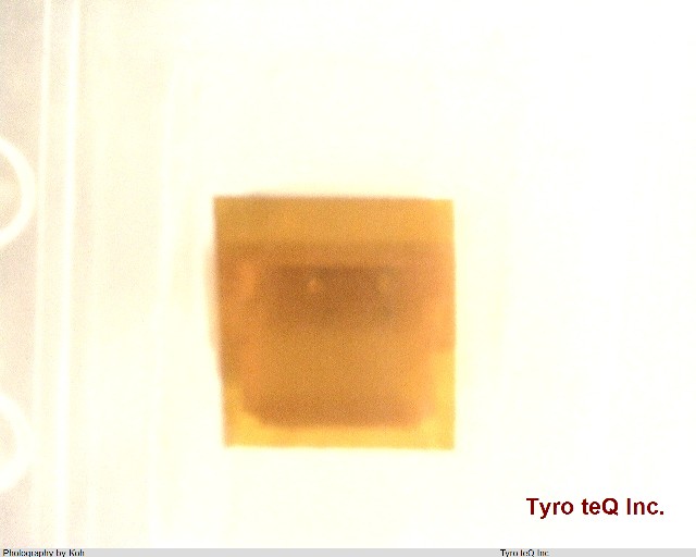 BM02B-SRSS-TBT(LF)(SN)