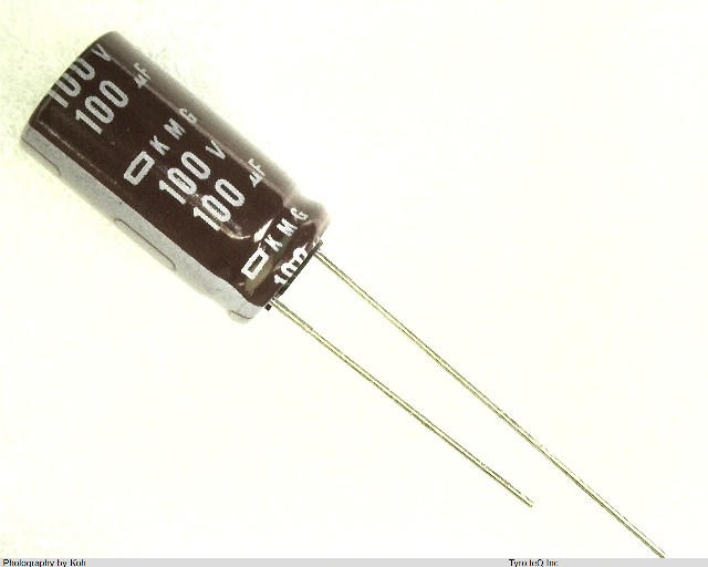 EKMG101ELL101MJ20S