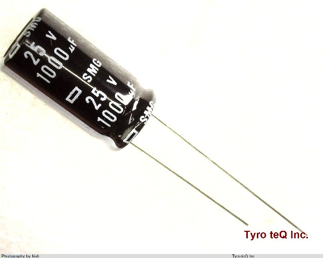 ESMG250ELL102MJ20S