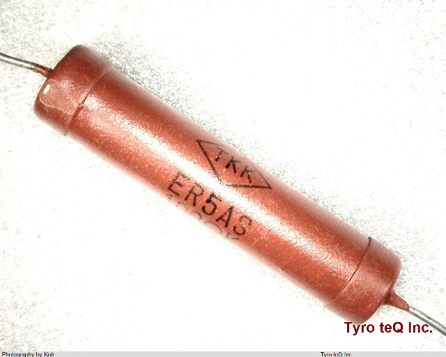 ER5AS 100OHMK