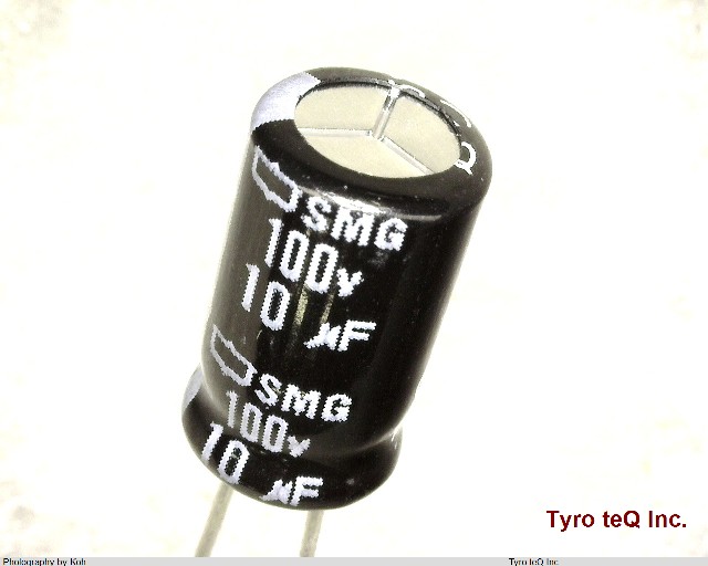 ESMG101ELL100NF11D