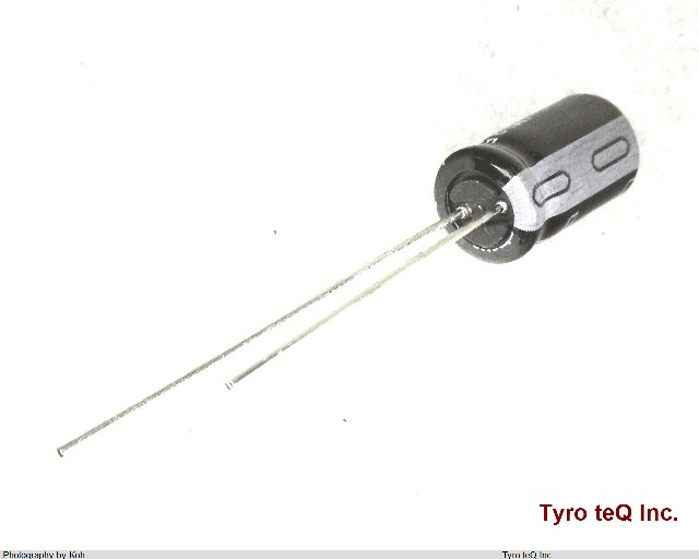 ESMG101ELL100NF11D