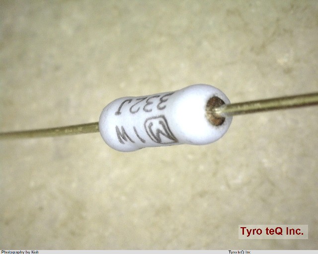 ERG1SJ332