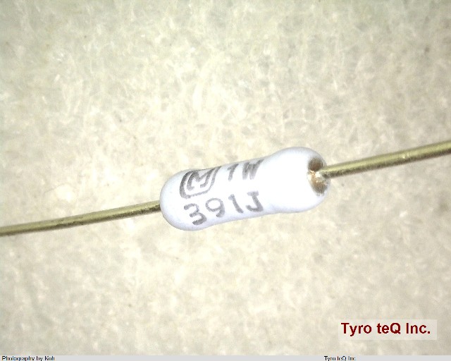 ERG1SJ391
