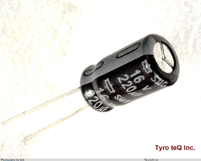 ESMG160ELL221MF11D