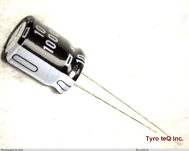 ESMG100ELL102MJC5S