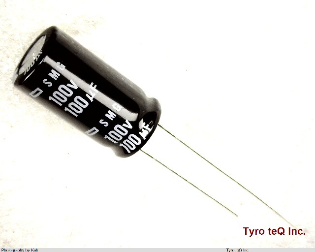 ESMG101ELL101MJ20S