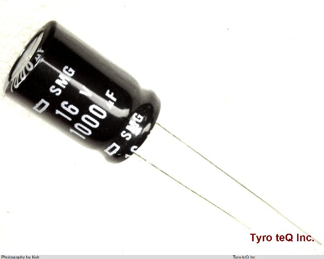 ESMG160ELL102MJ16S