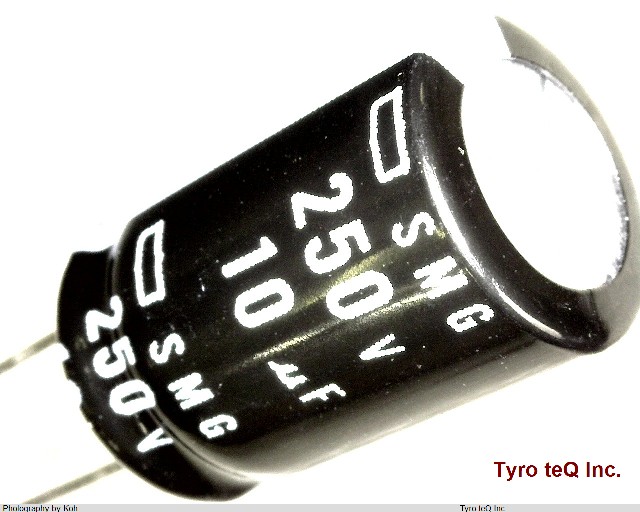 ESMG251ELL100MJ16S