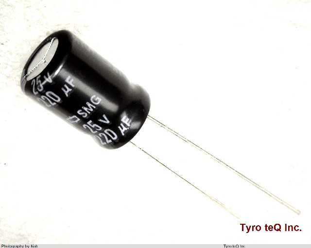 ESMG250ELL221MHB5D