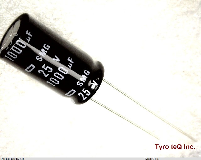 ESMG250ELL102MJ20S