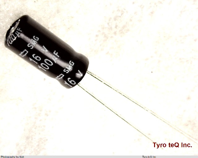 ESMG160ELL101ME11D
