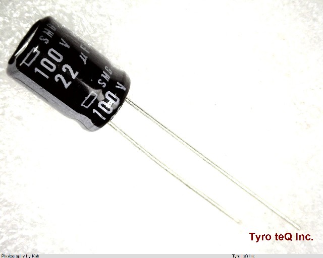 ESMG101ELL220MHB5D