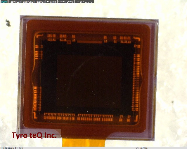 IMX225LQR-C