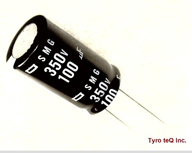 ESMG351ELL101MMN3S
