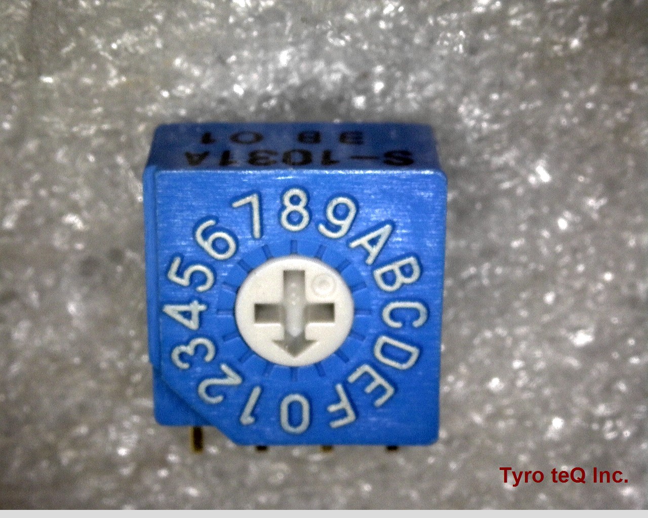 S-1031A
