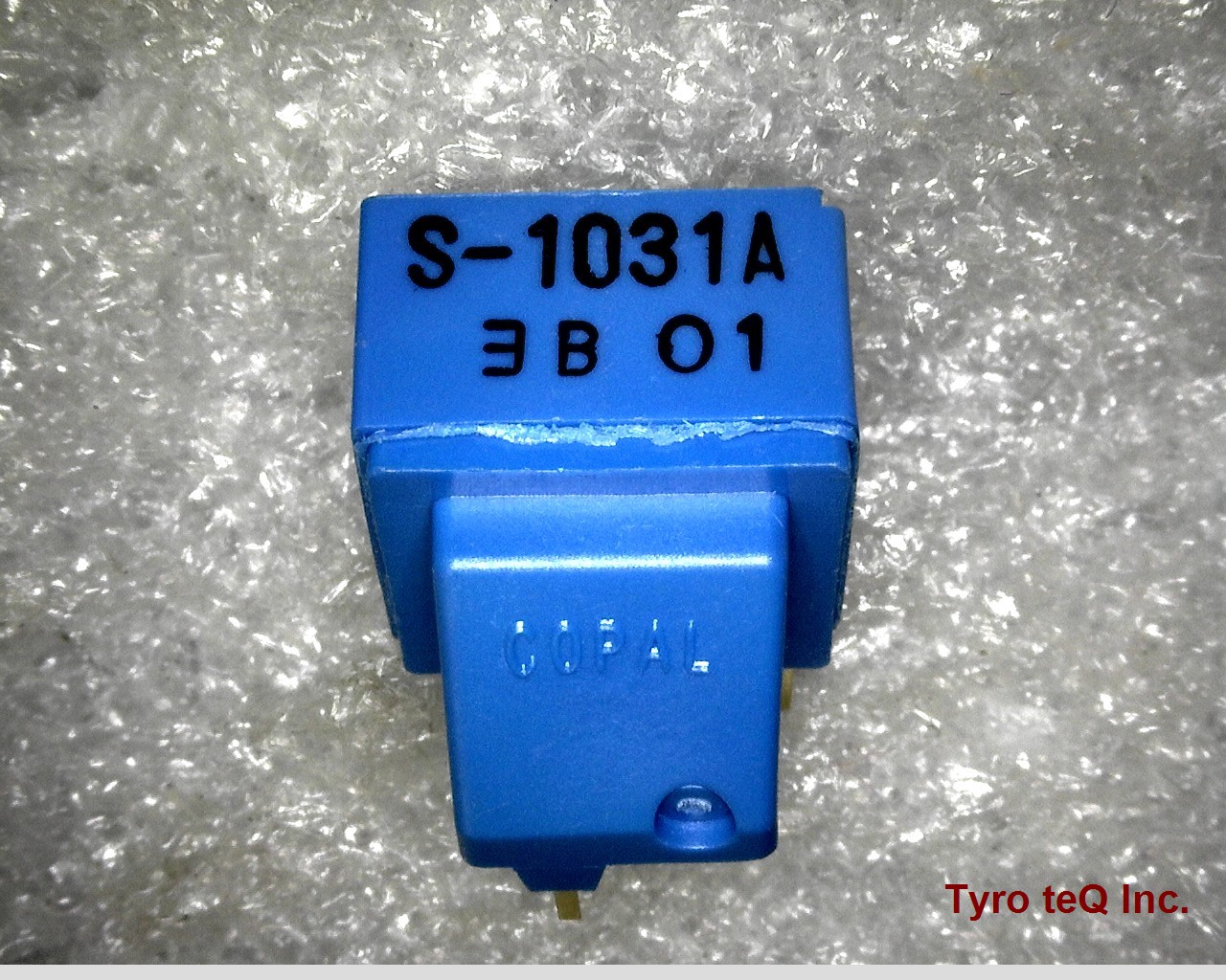 S-1031A