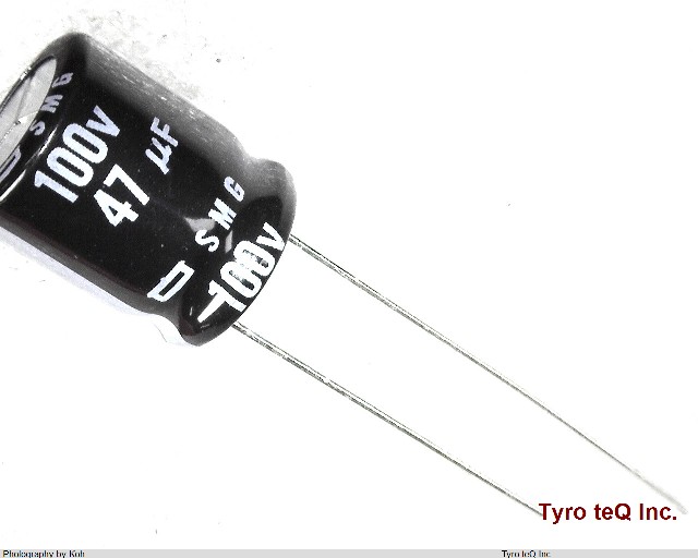 ESMG101ELL470MJC5S