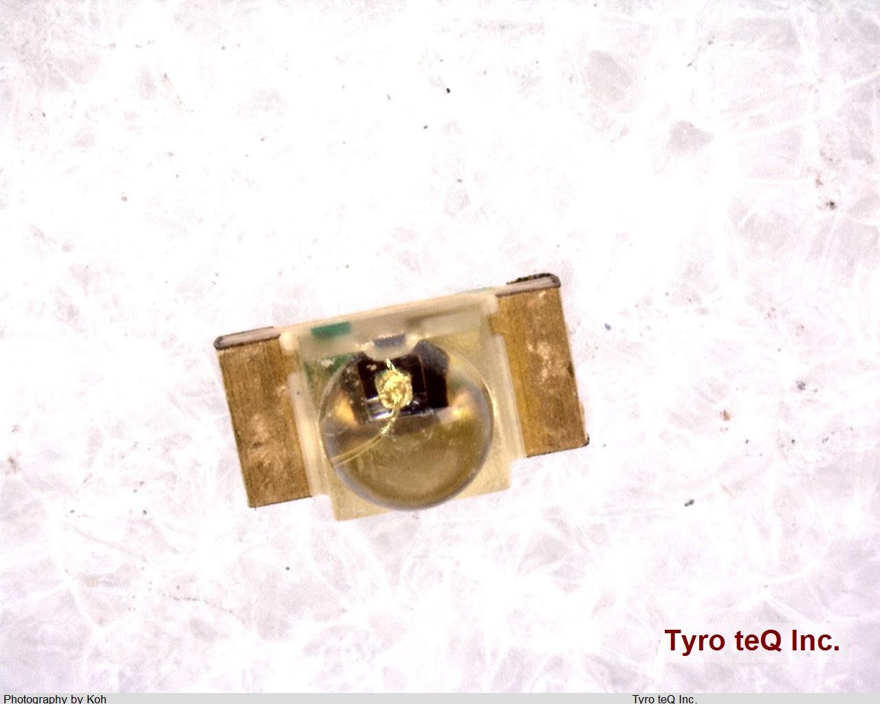 HPG1105W-TR