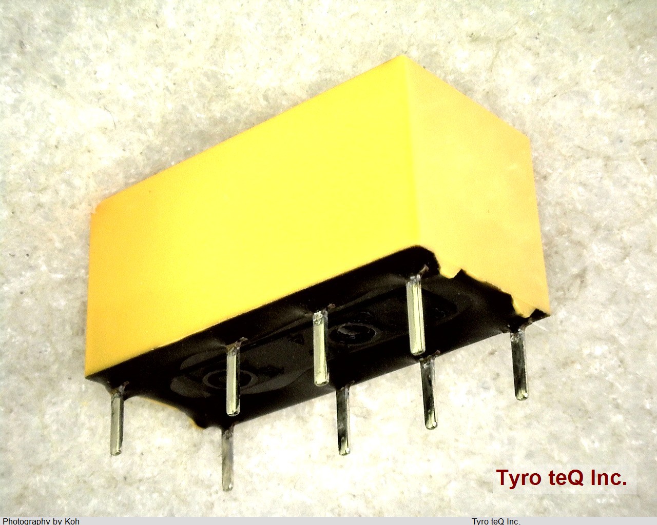 DS2Y-S-DC24V