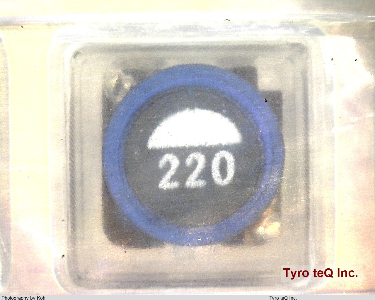 SLF7032T-220MR96-2PF