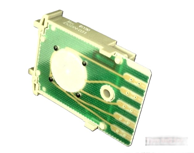 DGBN-031-ZP
