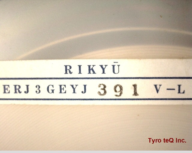 ERJ3GEYJ391V-L