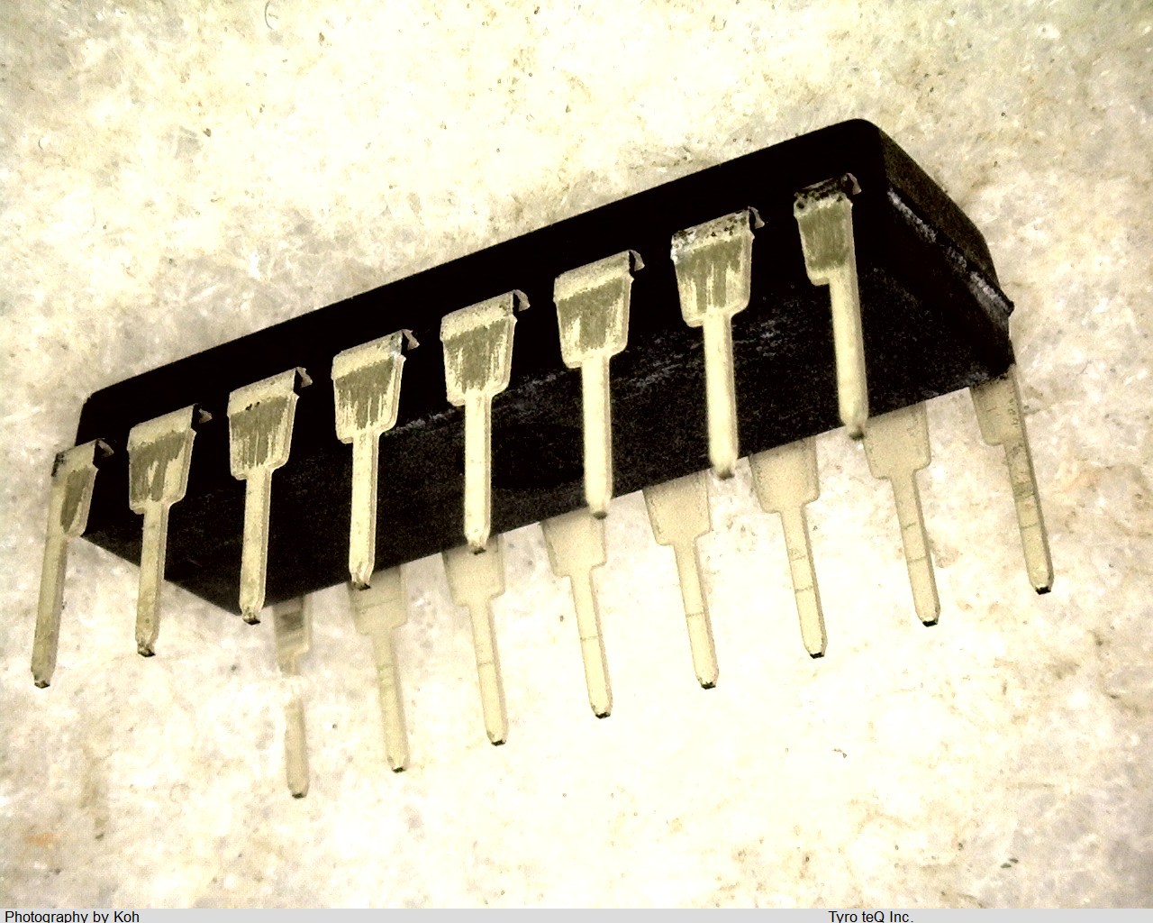 DP8392CN-1