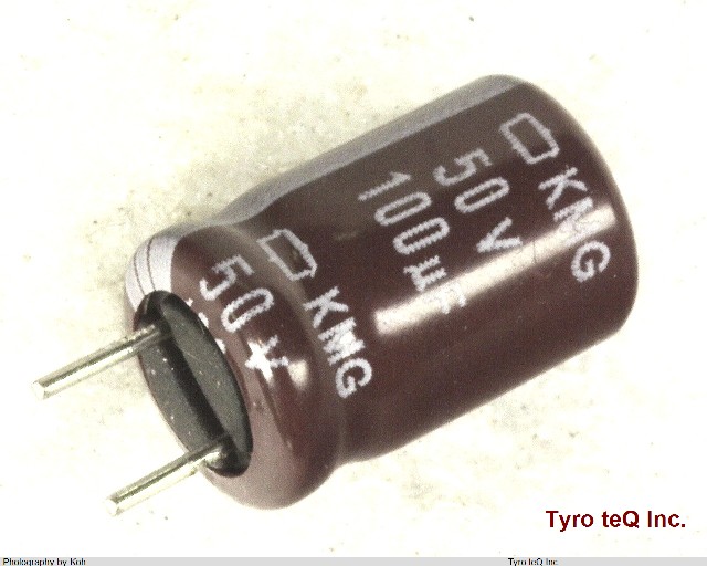 EKMG500ELL101MHB5D