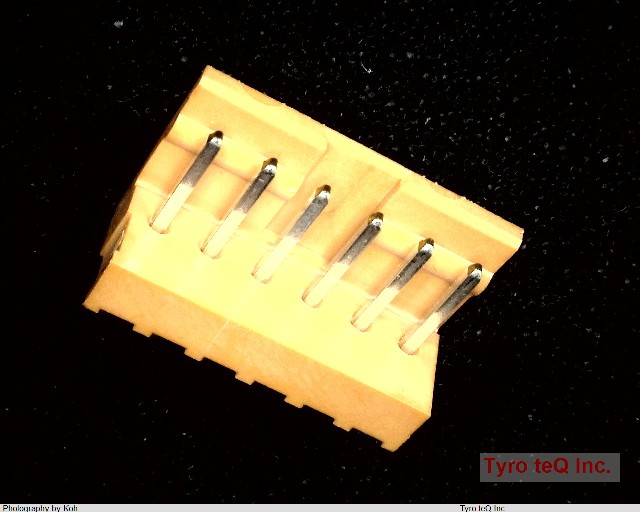IL-6P-S3EN2