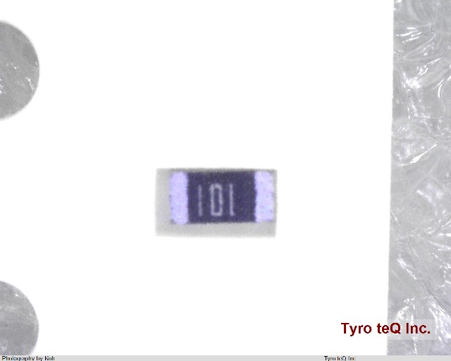 RK73B1JTTD101J