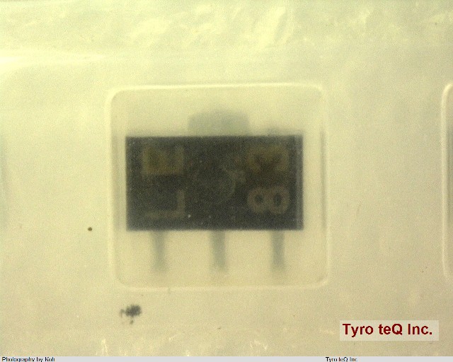 HD2L2Q